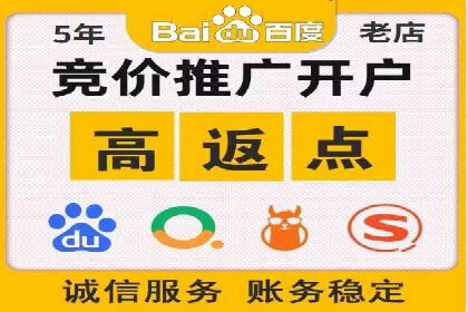 搜索引擎营销（SEM）竞价策略案例